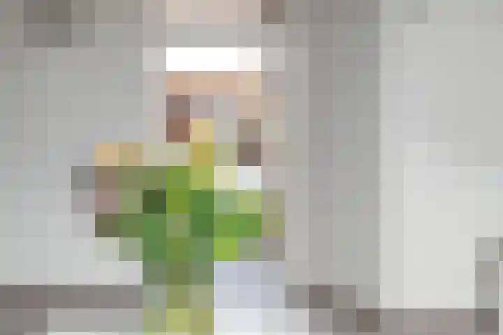 Didamseweg 50 Zevenaar thumbnail 4
