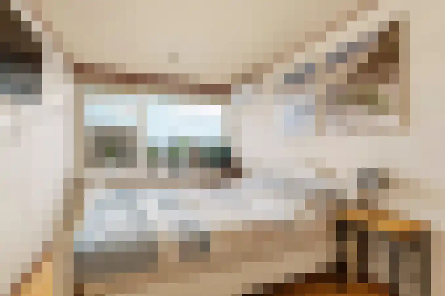 Didamseweg 64 Zevenaar thumbnail 18