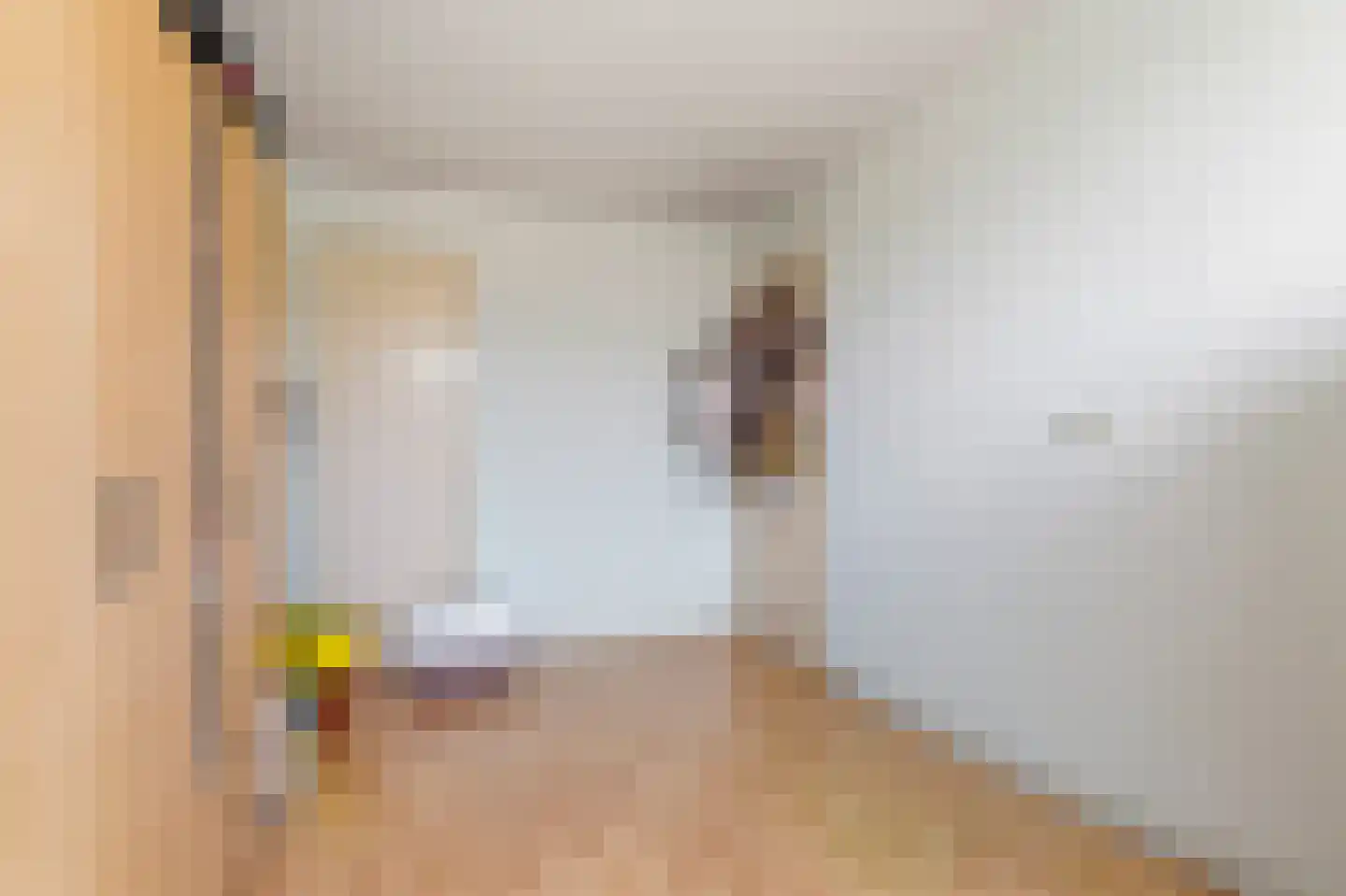 Didamseweg 64 Zevenaar thumbnail 22