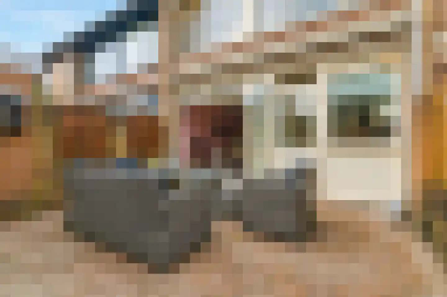Didamseweg 64 Zevenaar thumbnail 24