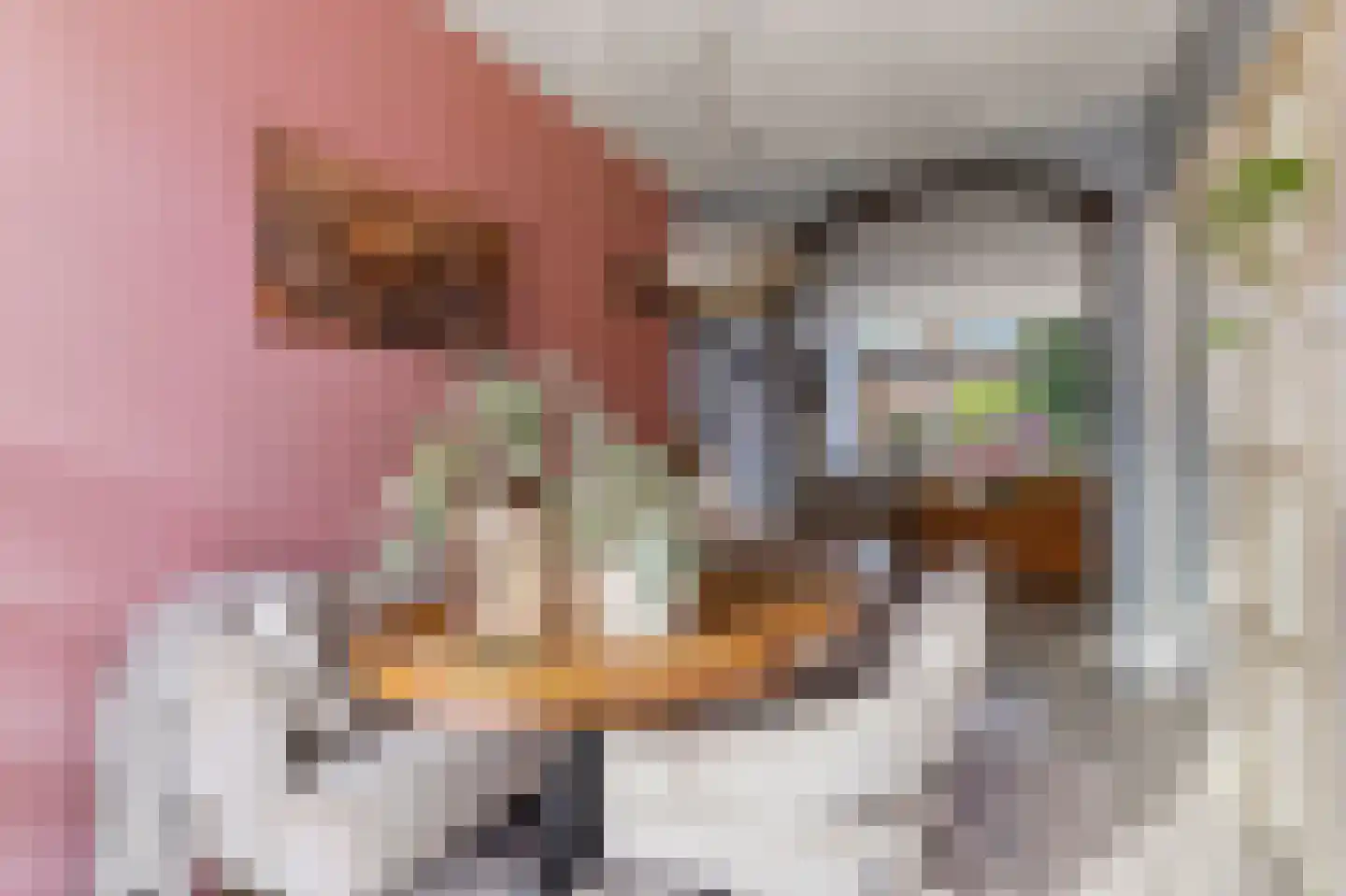 Didamseweg 64 Zevenaar thumbnail 4