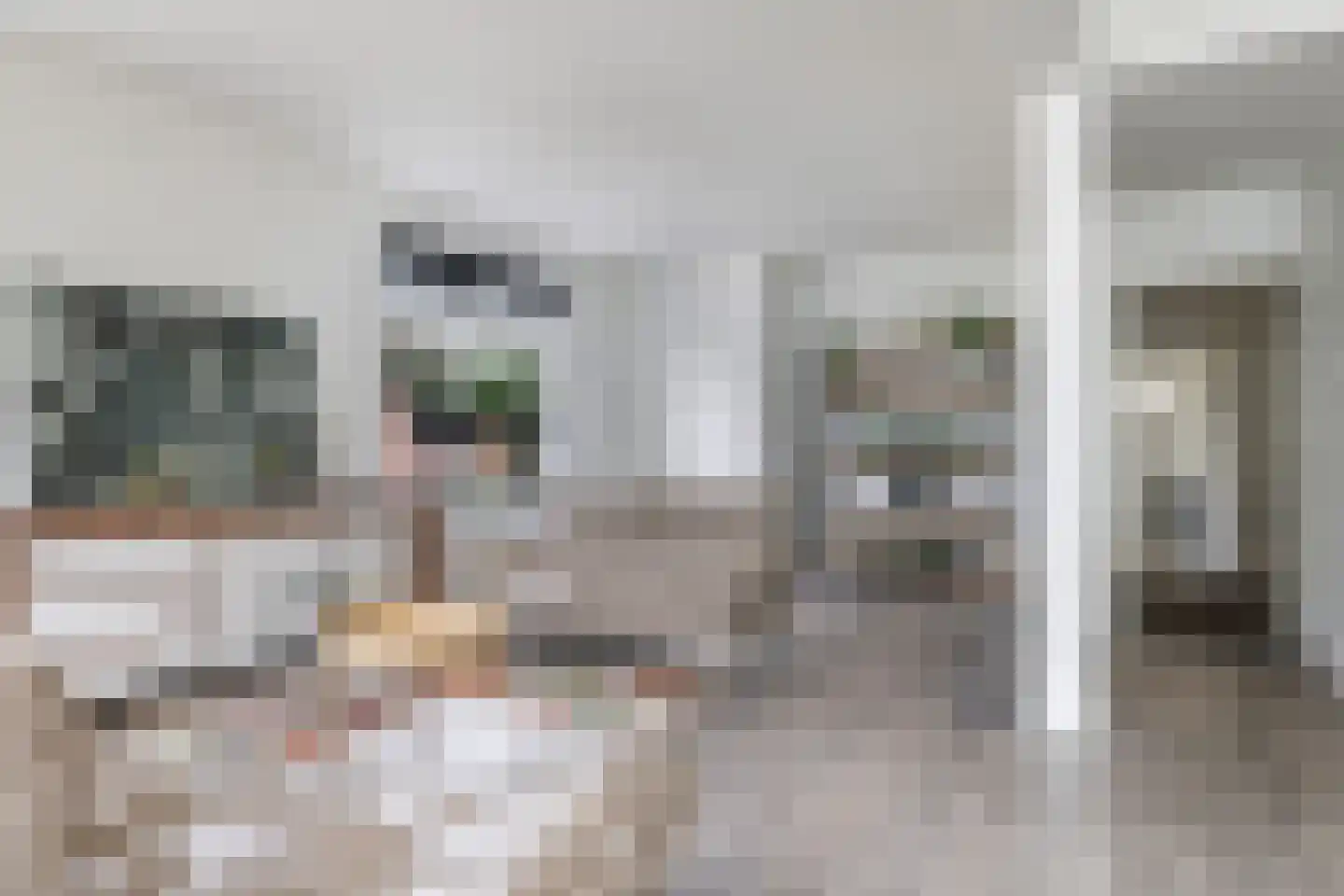 Didamseweg 8 Wehl thumbnail 17