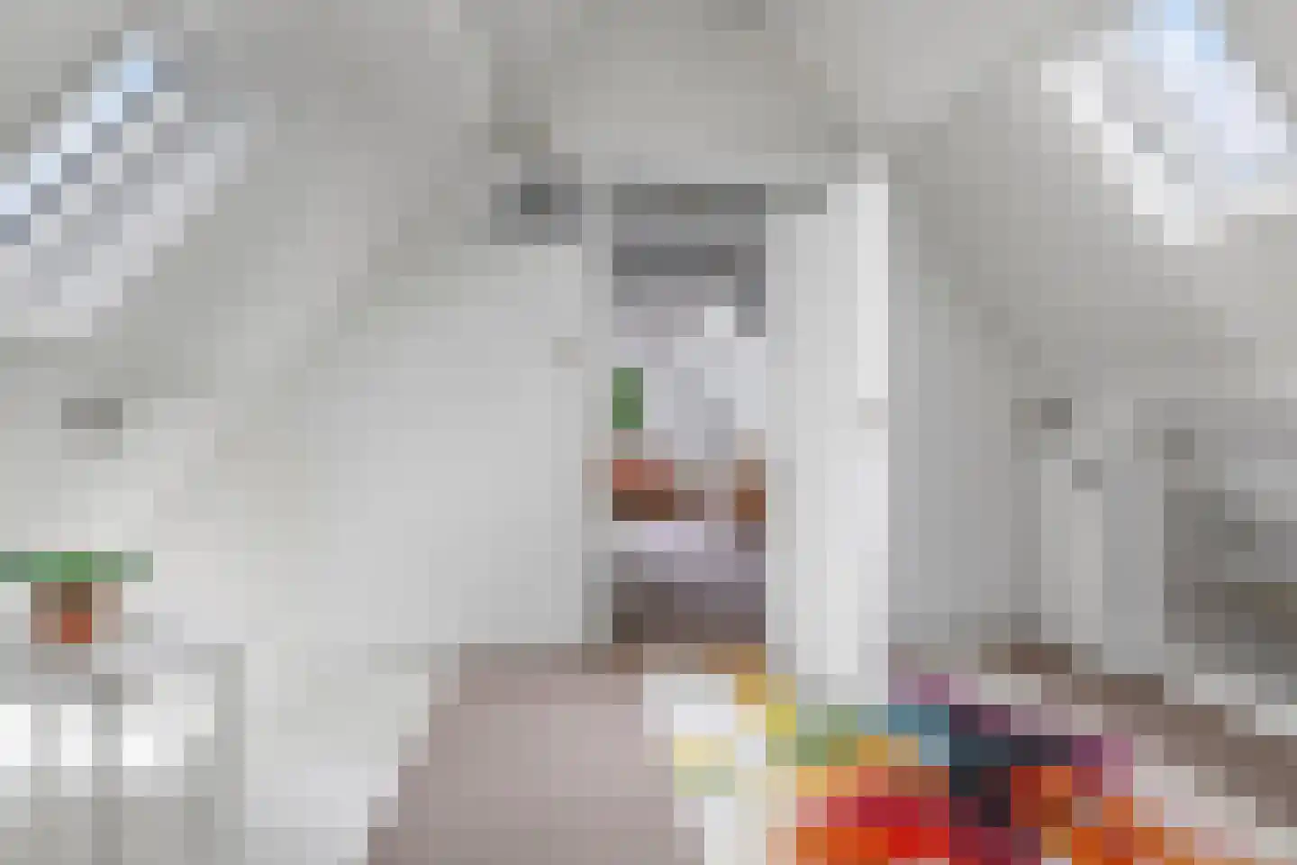 Didamseweg 8 Wehl thumbnail 31