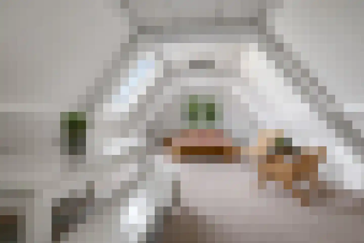 Didamseweg 8 Wehl thumbnail 32