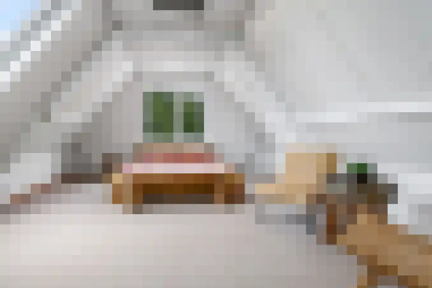 Didamseweg 8 Wehl thumbnail 33