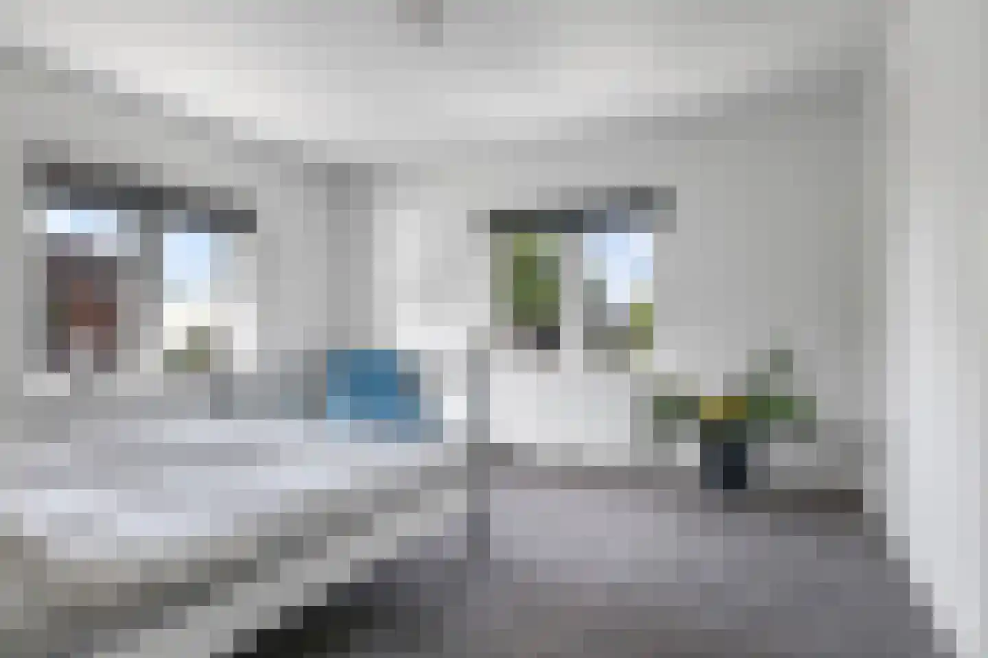 Didamseweg 8 Wehl thumbnail 37