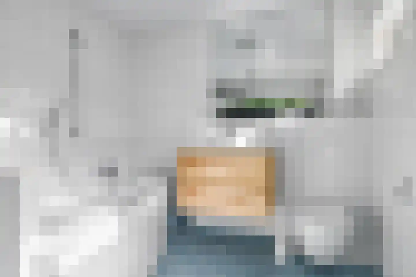 Didamseweg 8 Wehl thumbnail 42