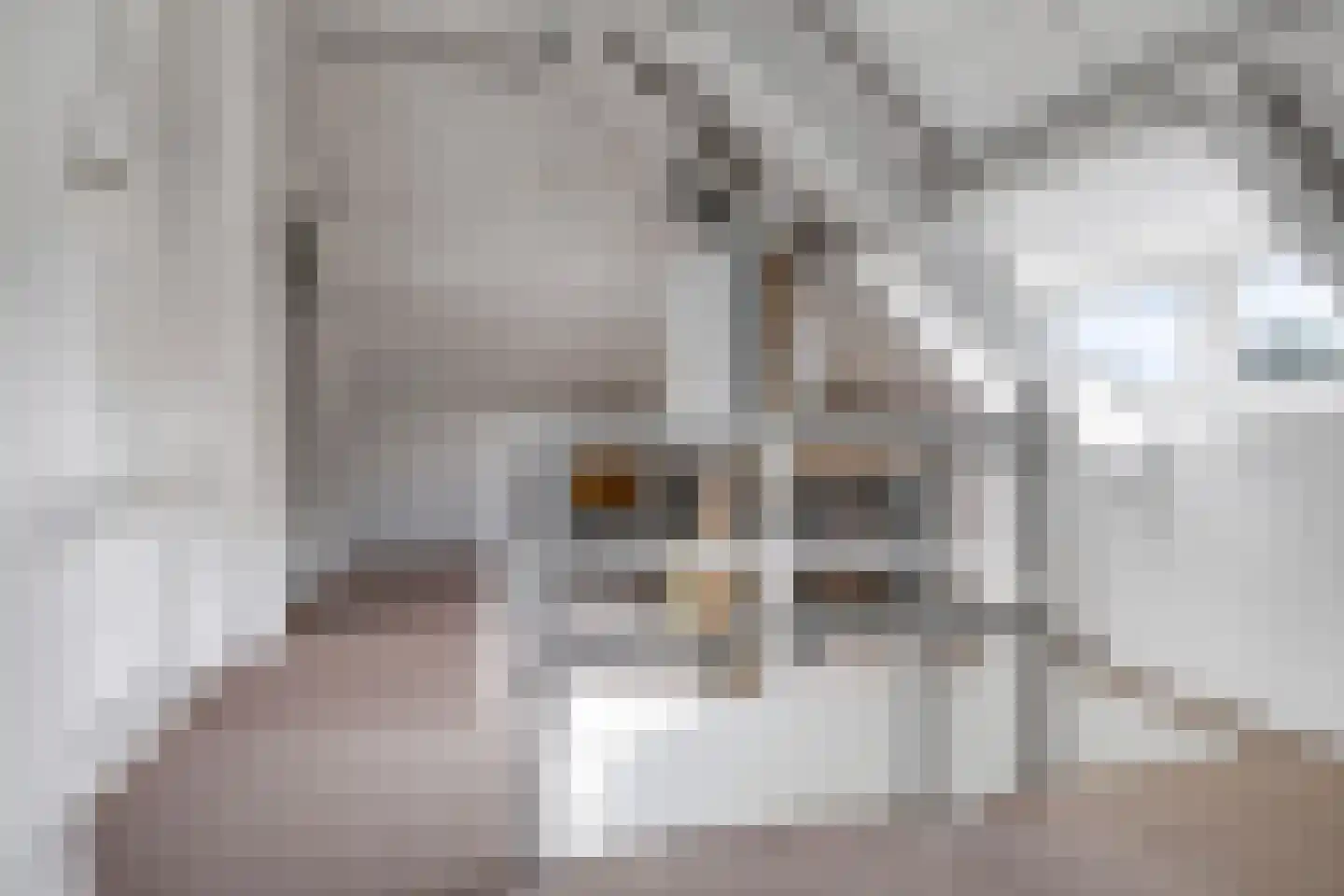 Didamseweg 8 Wehl thumbnail 45