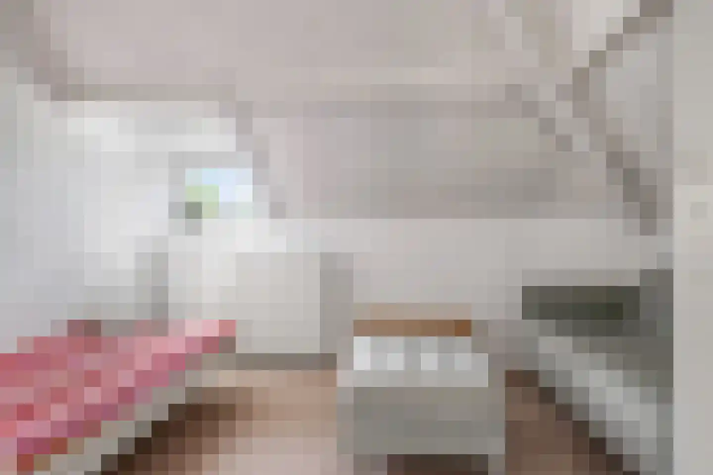 Didamseweg 8 Wehl thumbnail 48