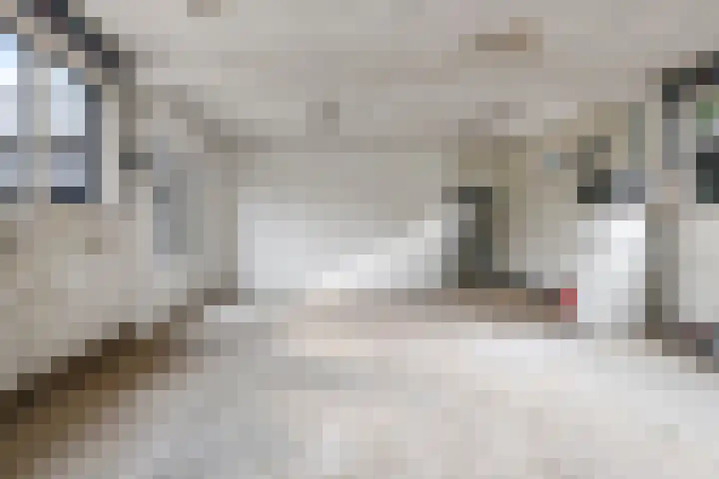 Didamseweg 8 Wehl thumbnail 50