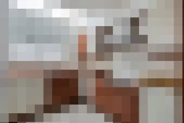 Didamstraat 2 Tilburg thumbnail 10