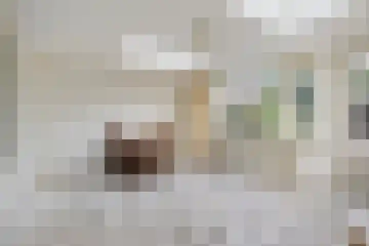 Didamstraat 2 Tilburg thumbnail 15