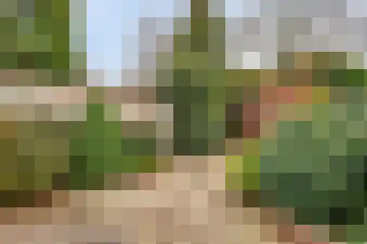 Didamstraat 2 Tilburg thumbnail 29