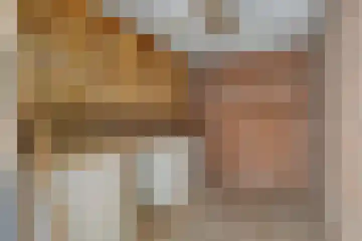 Didamstraat 2 Tilburg thumbnail 32