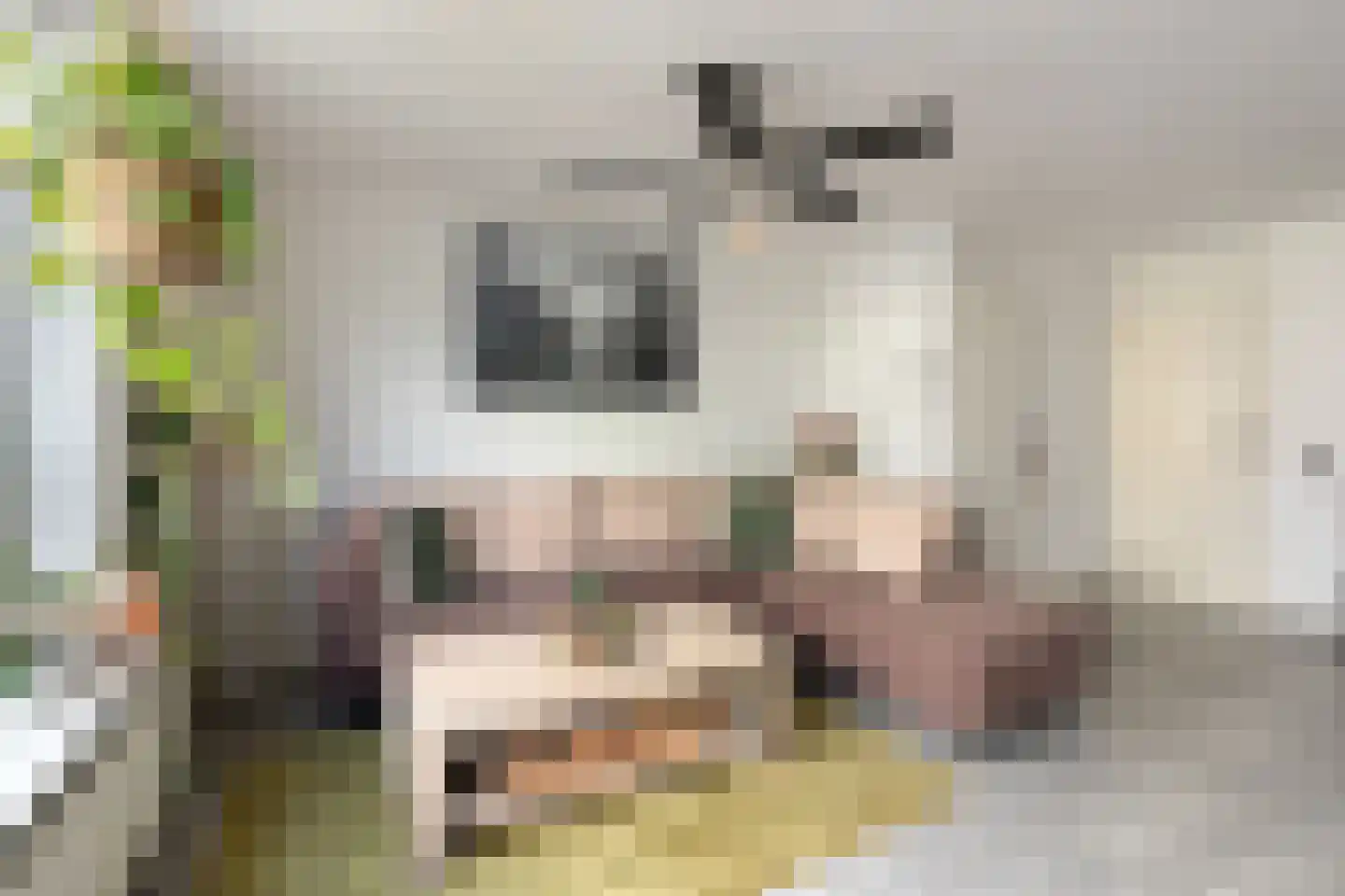 Diderica Mijnssenstraat 15 Breda thumbnail 10
