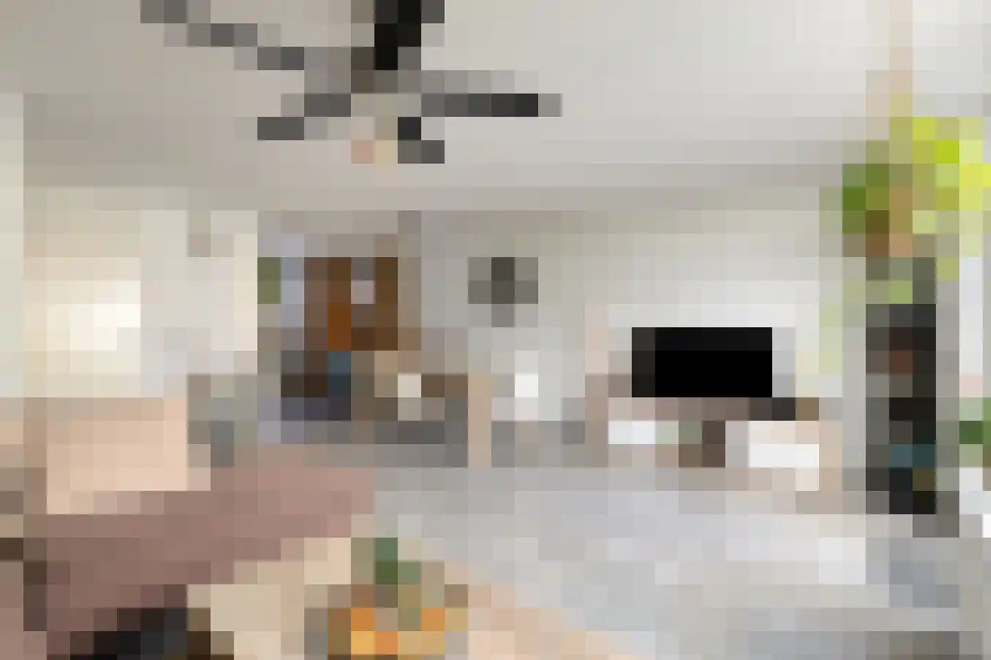 Diderica Mijnssenstraat 15 Breda thumbnail 11