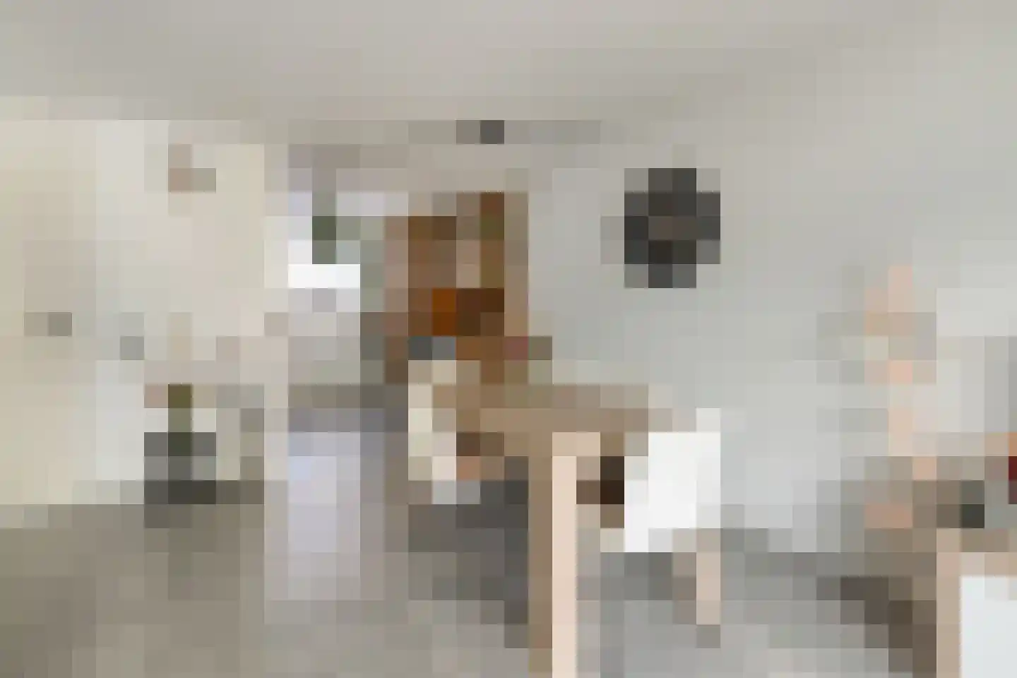 Diderica Mijnssenstraat 15 Breda thumbnail 14
