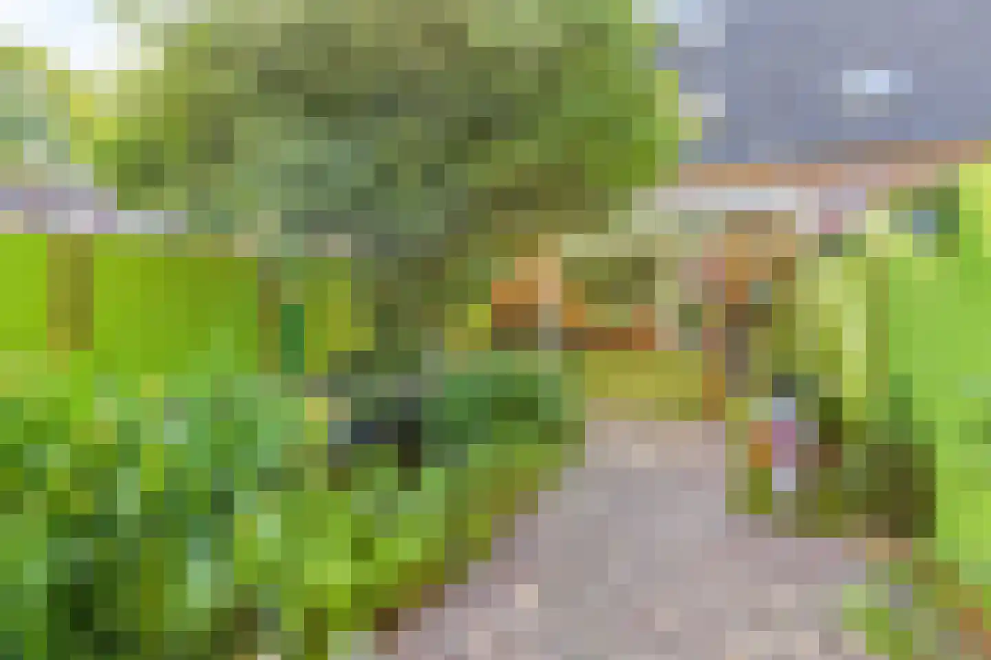 Diderica Mijnssenstraat 15 Breda thumbnail 32
