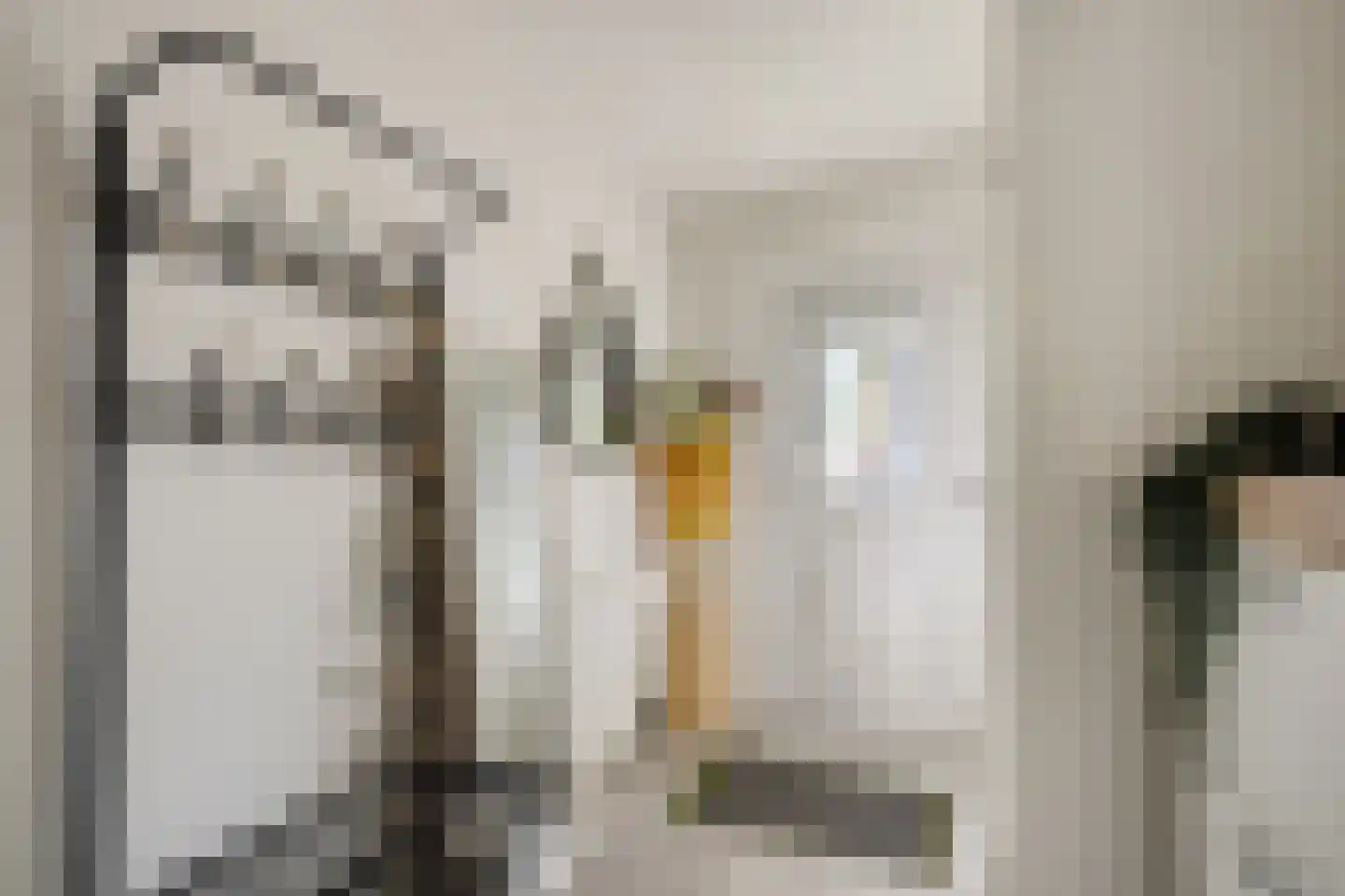 Diderica Mijnssenstraat 15 Breda thumbnail 8
