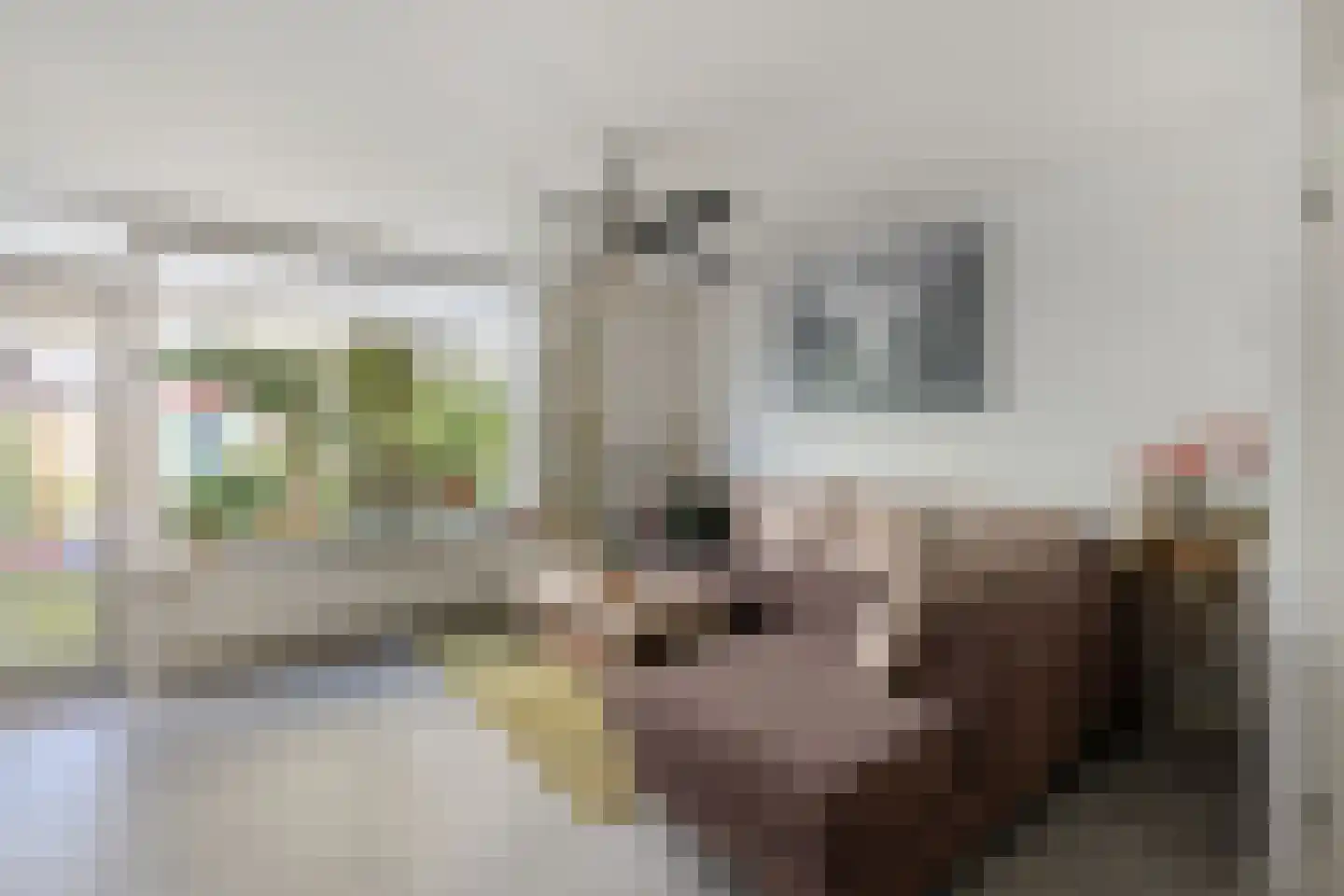 Diderica Mijnssenstraat 15 Breda thumbnail 9