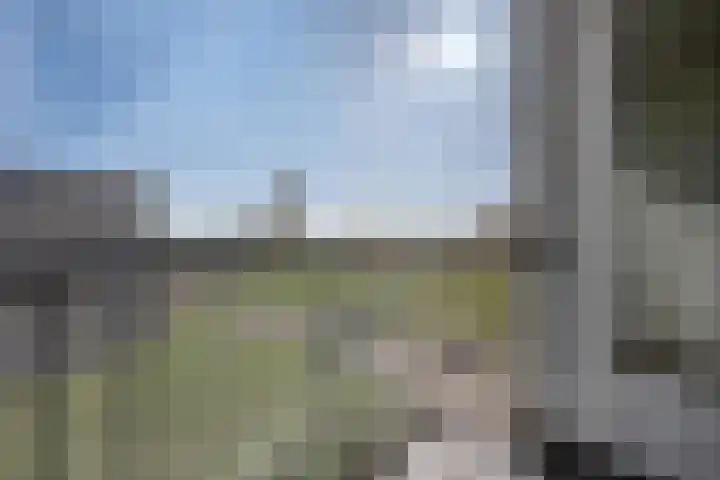 Diderik Vijghstraat 105 Tiel thumbnail 17
