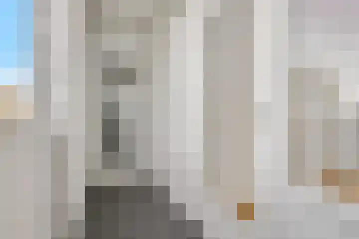 Diderik Vijghstraat 105 Tiel thumbnail 21