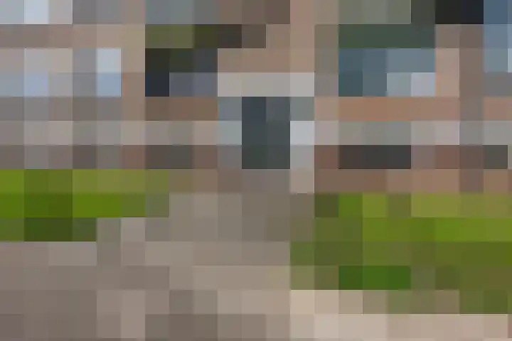Diderik Vijghstraat 105 Tiel thumbnail 31
