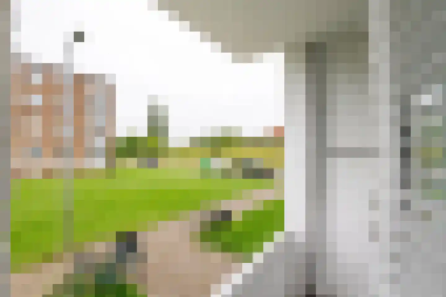 Diderik Vijghstraat 109 Tiel thumbnail 23