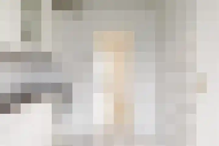 Diderik Vijghstraat 121 Tiel thumbnail 16