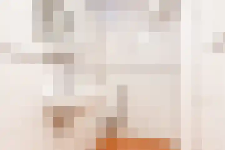 Diderik Vijghstraat 121 Tiel thumbnail 18