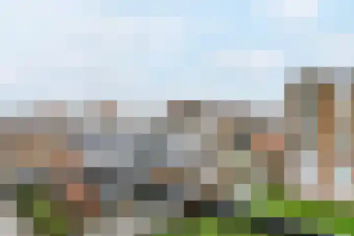 Diderik Vijghstraat 121 Tiel thumbnail 22