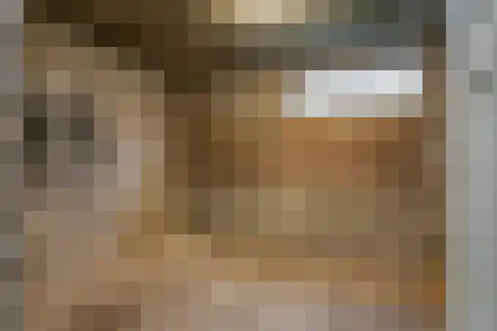 Diderik Vijghstraat 121 Tiel thumbnail 25