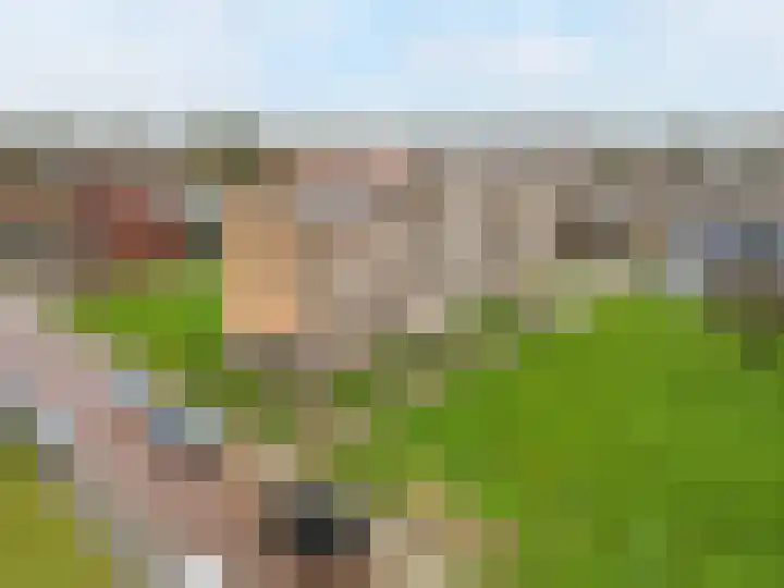 Diderik Vijghstraat 121 Tiel thumbnail 4