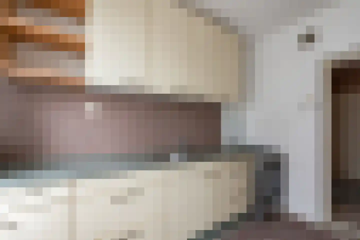 Diderik Vijghstraat 123 Tiel thumbnail 13