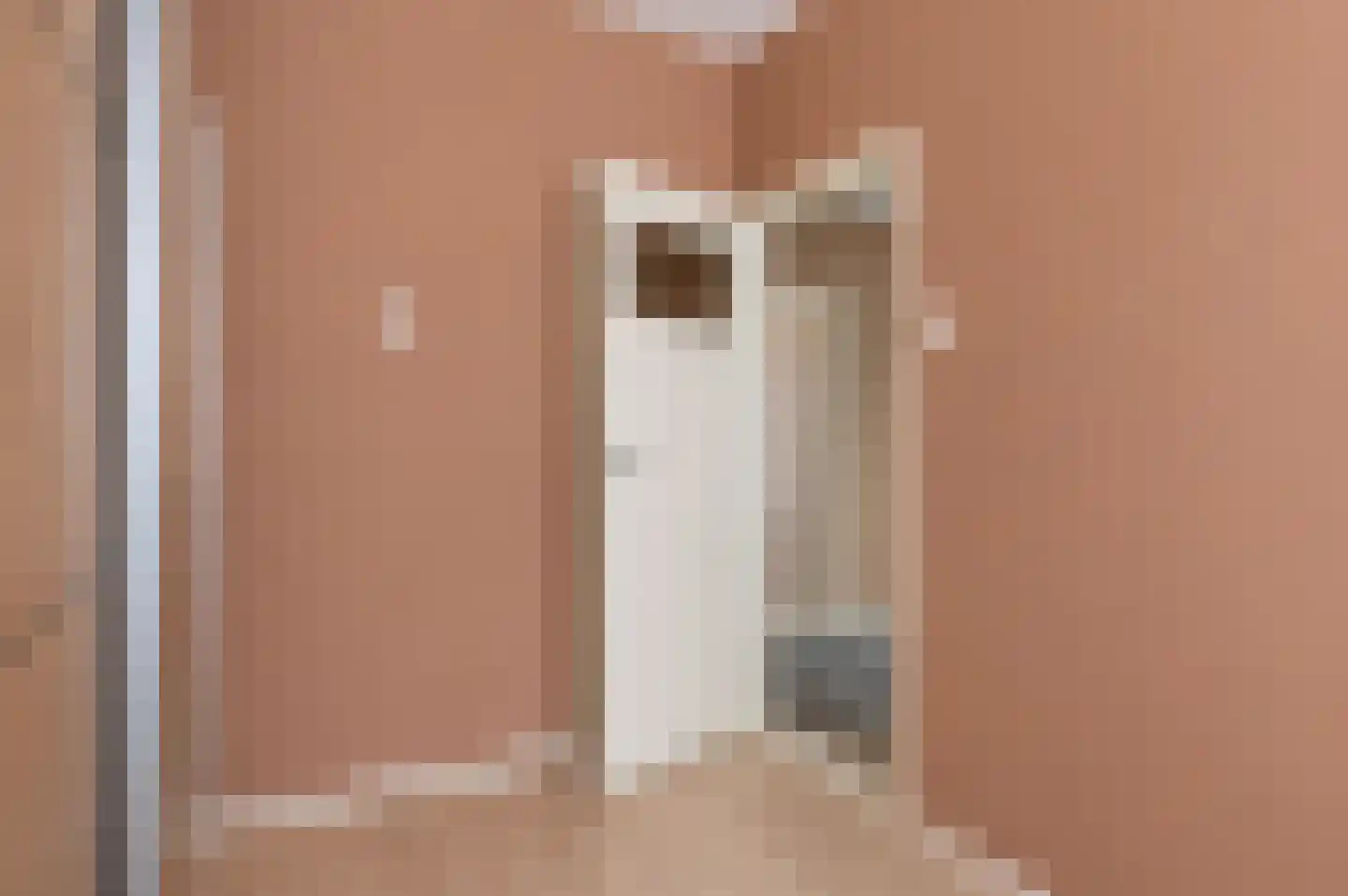 Diderik Vijghstraat 123 Tiel thumbnail 18