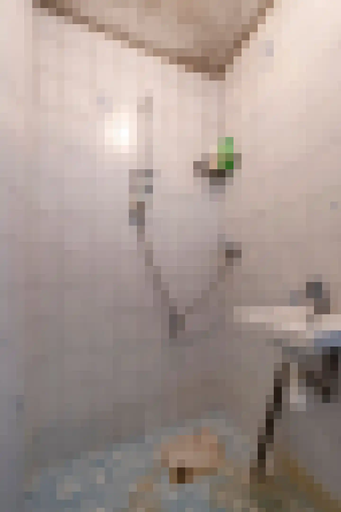 Diderik Vijghstraat 123 Tiel thumbnail 19