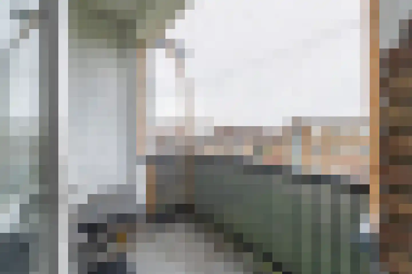 Diderik Vijghstraat 123 Tiel thumbnail 20