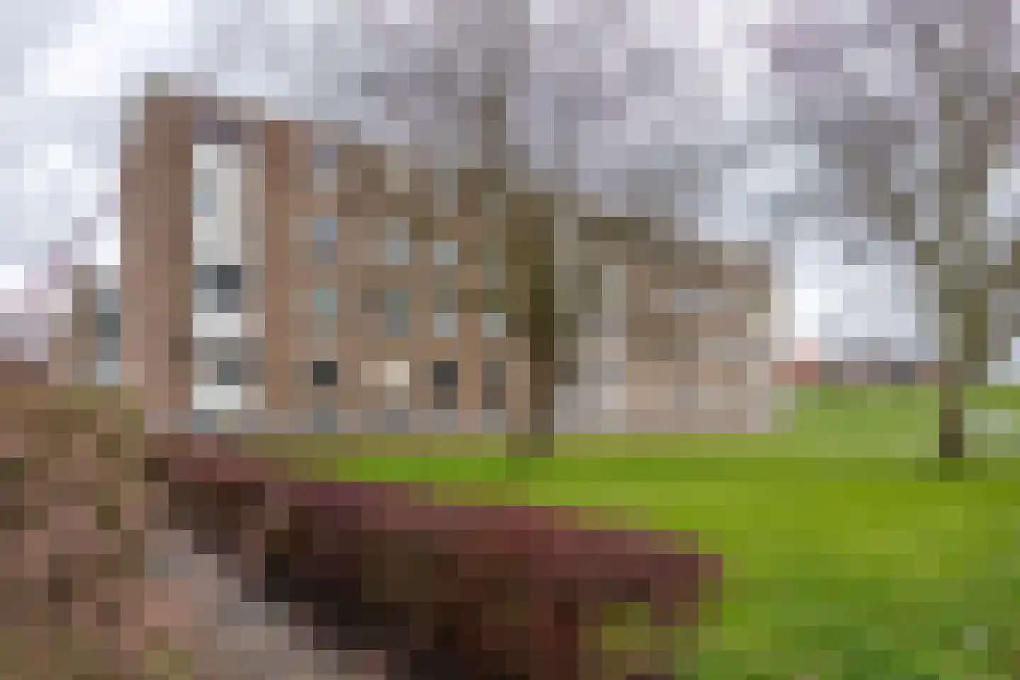 Diderik Vijghstraat 123 Tiel thumbnail 22