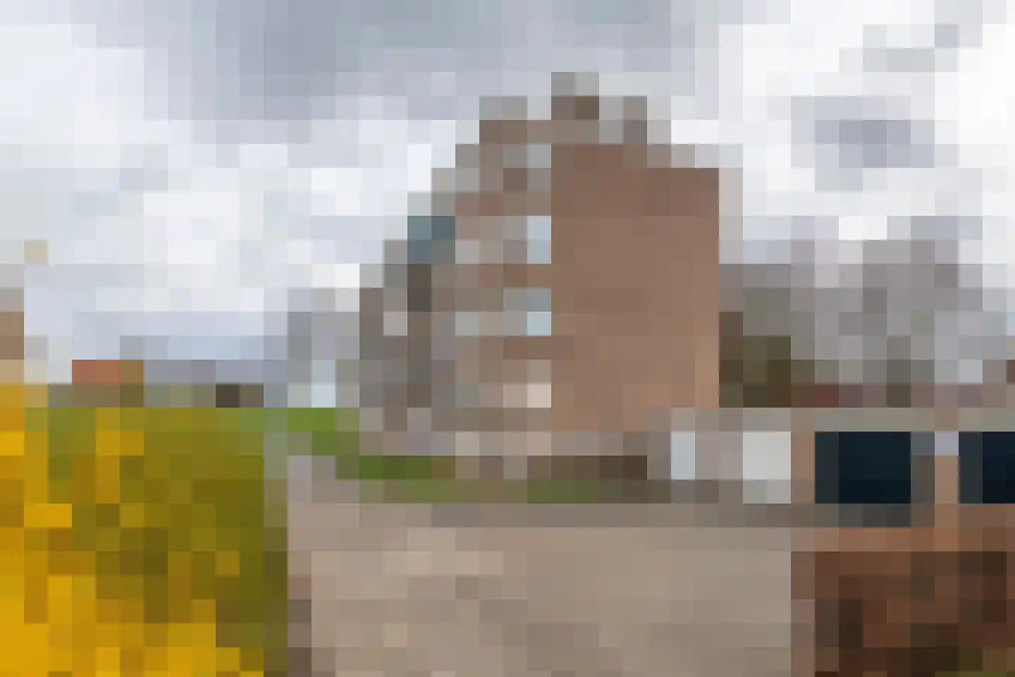 Diderik Vijghstraat 123 Tiel thumbnail 23