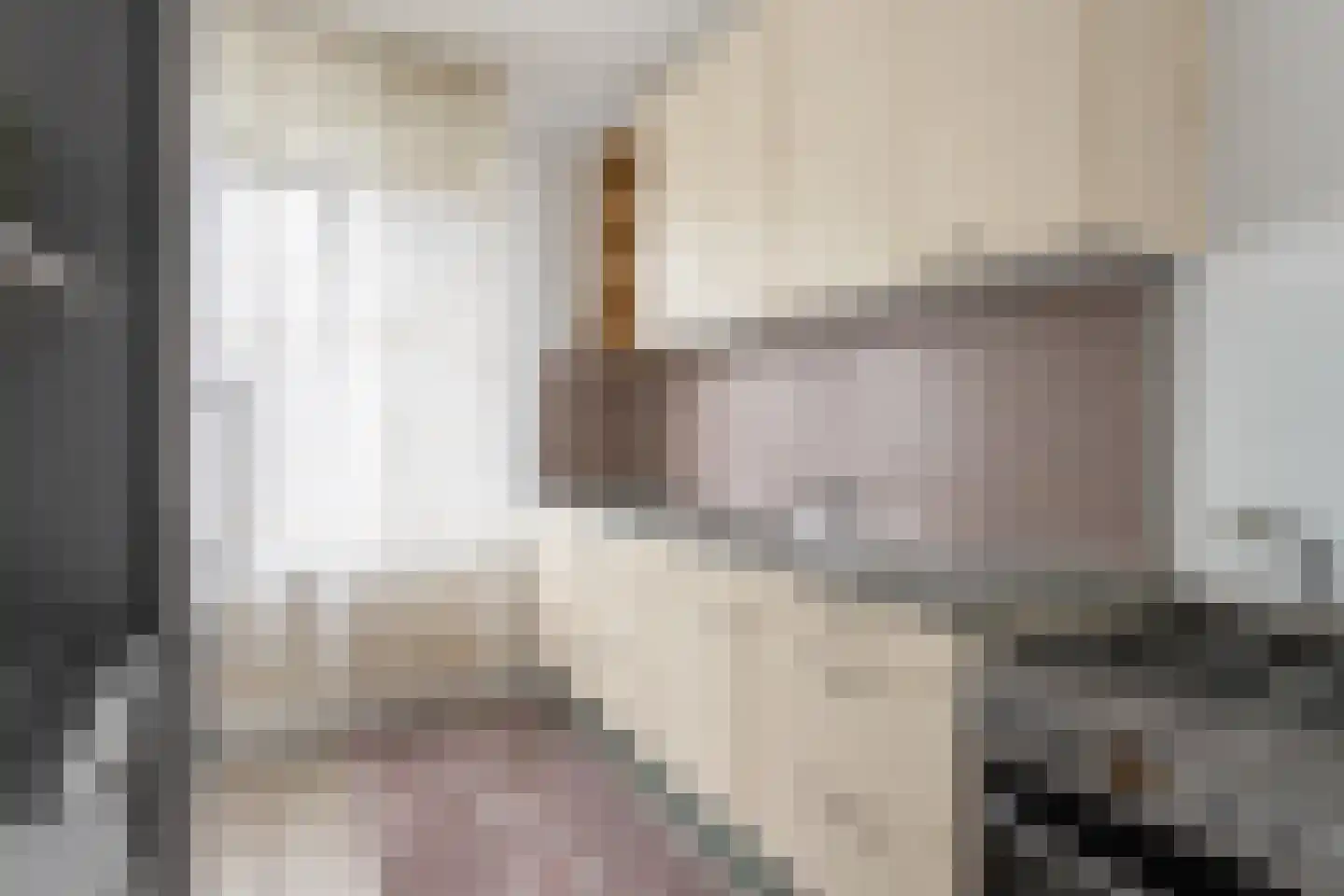 Diderik Vijghstraat 123 Tiel thumbnail 6