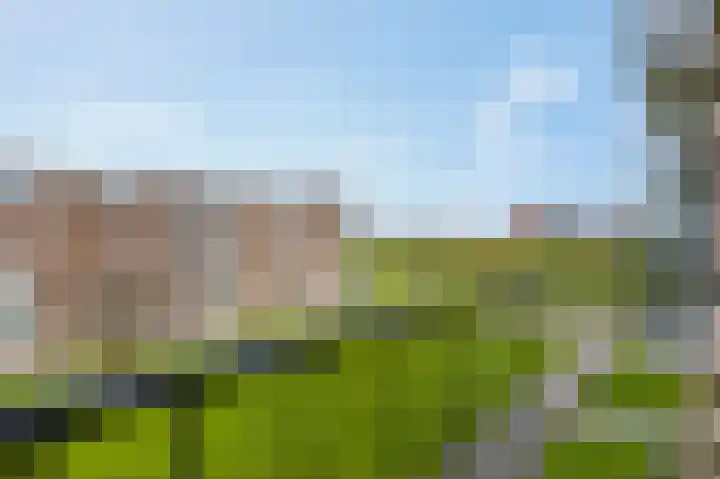 Diderik Vijghstraat 129 Tiel thumbnail 10