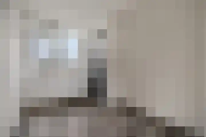 Diderik Vijghstraat 129 Tiel thumbnail 19