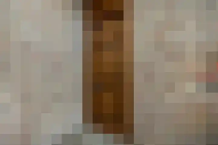 Diderik Vijghstraat 129 Tiel thumbnail 25