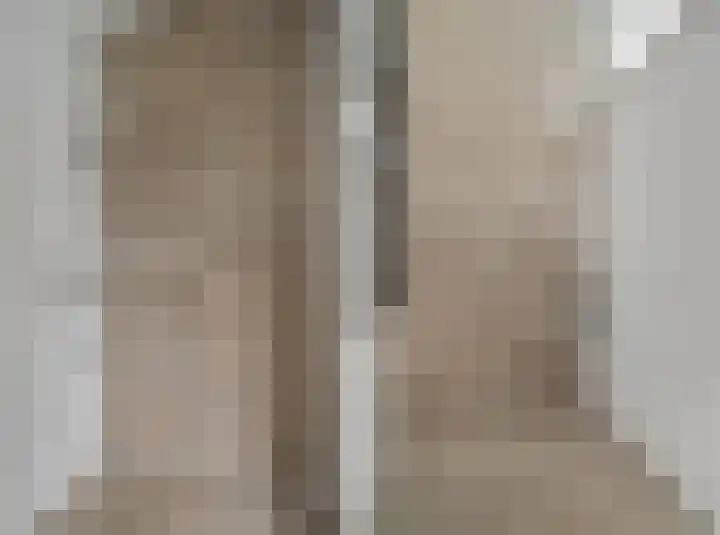 Diderik Vijghstraat 129 Tiel thumbnail 4