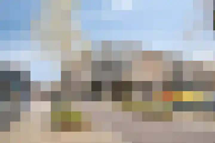 Diderna 20 in Dieren