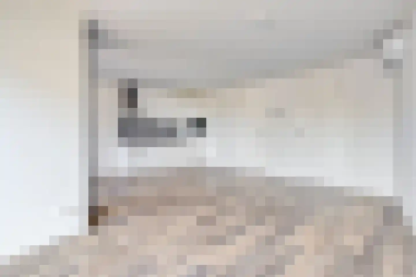 Diderna 3 a Dieren thumbnail 16