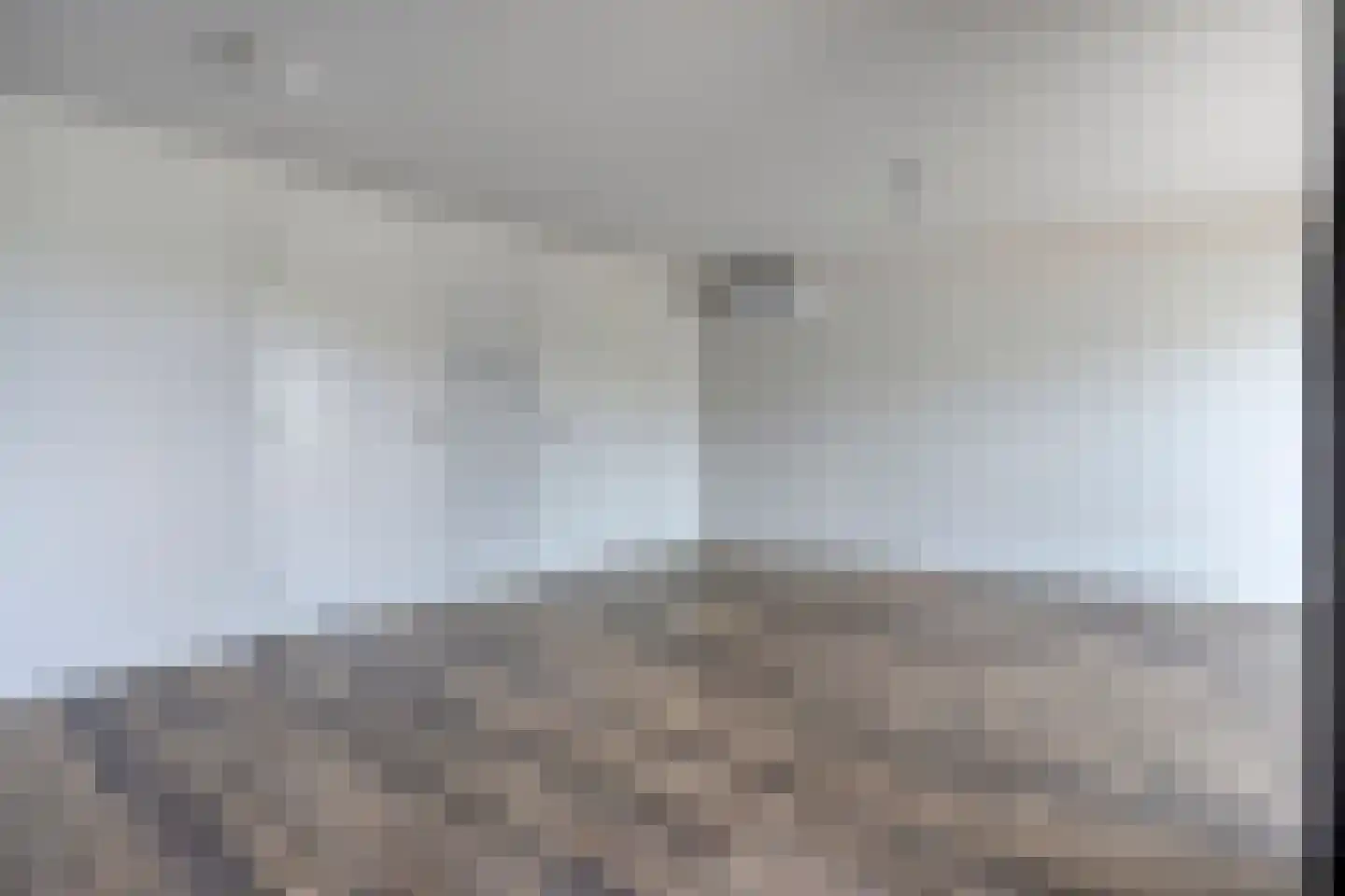 Diderna 3 a Dieren thumbnail 18