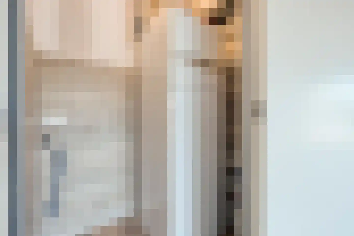 Diderna 3 a Dieren thumbnail 21