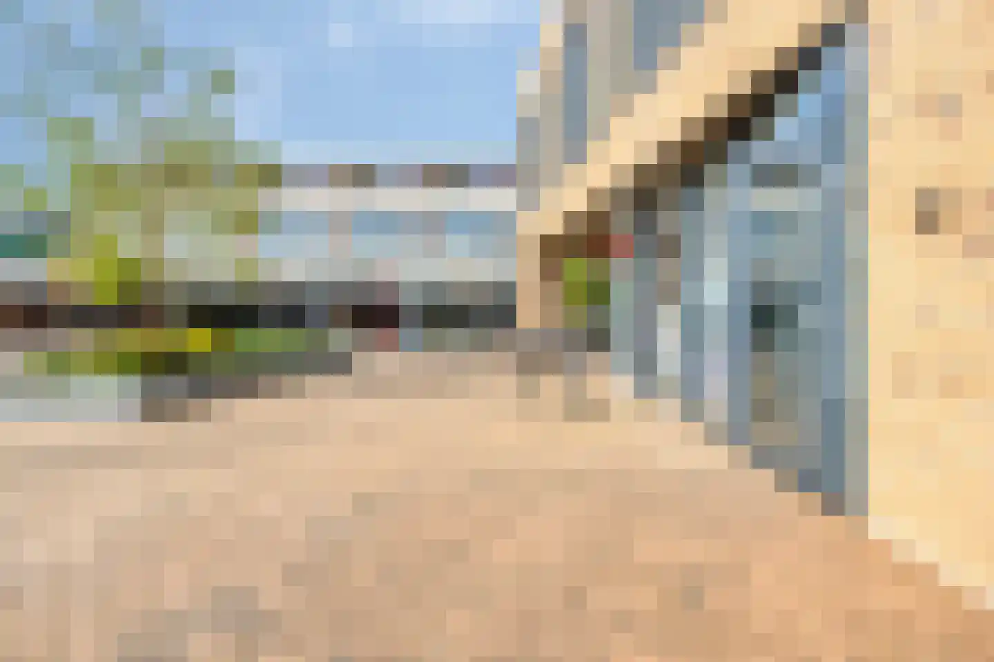 Diderna 3 a Dieren thumbnail 26