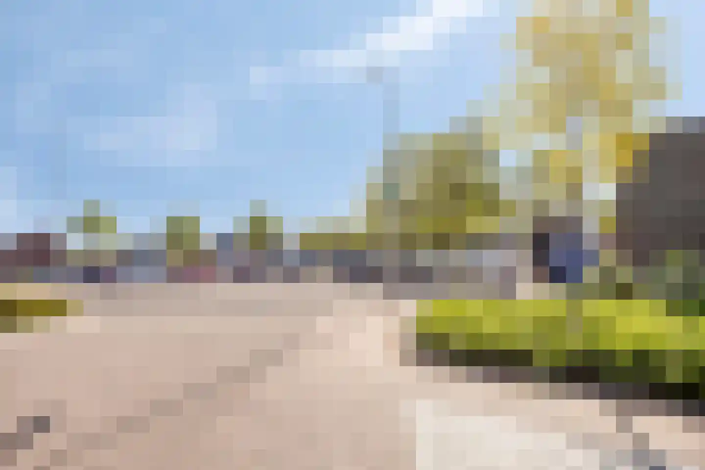 Diderna 3 a Dieren thumbnail 33